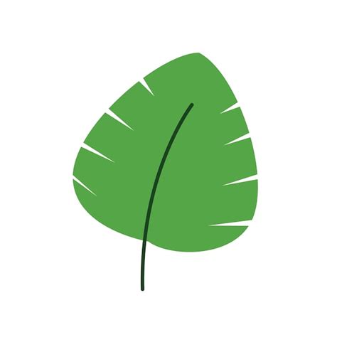 Premium Vector | Heart shaped leaf