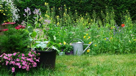 7 benefits of a wildflower garden — and why you should grow one | Tom's ...