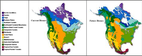 The Effects of Climate Change on North America's Biomes : r/MapPorn