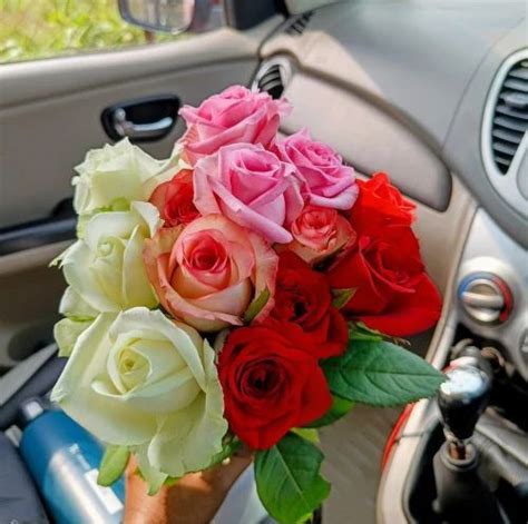 Cut Rose Flowers at Best Price in Pune, Maharashtra | Turmagic Farms Llp