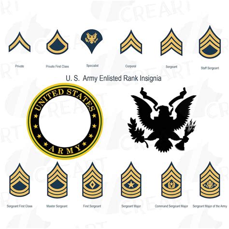 US Army Enlisted Rank Insignia Collection. Military Frame Clip - Etsy