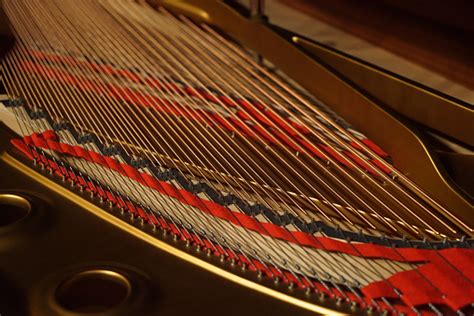 Grand Piano Strings Closeup Musical Instrument Inside Stock Photo - Download Image Now - iStock