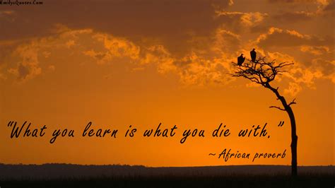 What you learn is what you die with | Popular inspirational quotes at EmilysQuotes