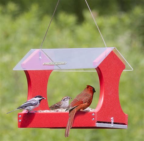 Buy the Classic Cardinal Platform Feeder at duncraft.com. 100% Satisfaction Guaranteed at your ...