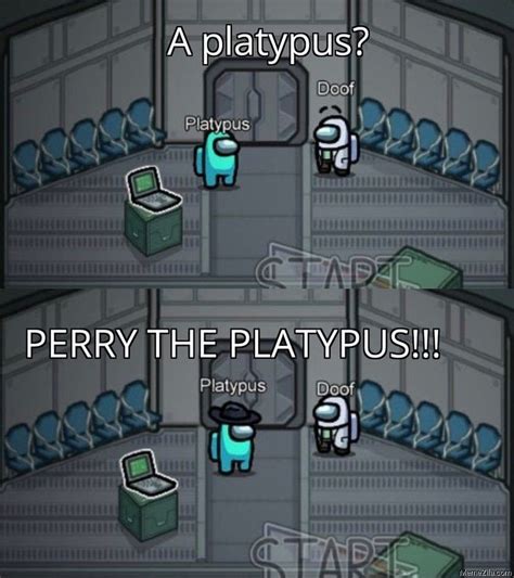 A platypus Perry the platypus meme - MemeZila.com