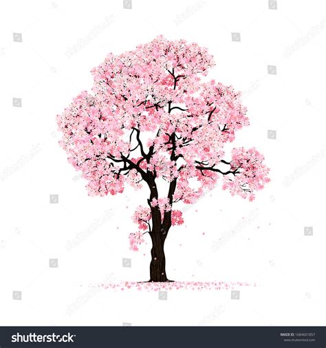 1,030,496 Cherry Blossom Tree Images, Stock Photos & Vectors | Shutterstock