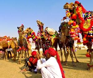 Pushkar Camel Fair 2019 Rajasthan India