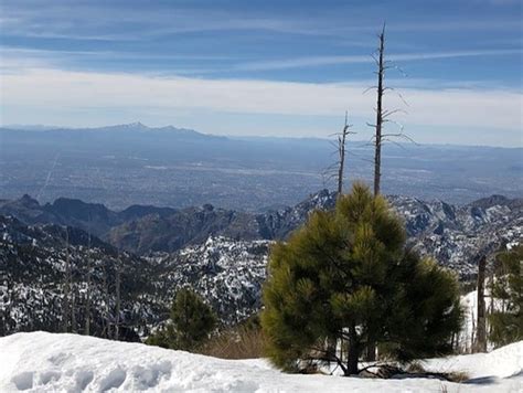 Mount Lemmon Ski Valley Ski Resort Guide | Snow-Forecast.com