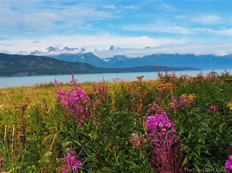 Skagway Alaska - Davidson Glacier A Must See – The Travel Bite