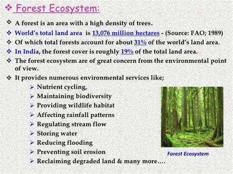 Ecosystem