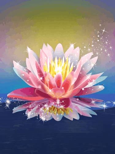 Amazing Gifs, Acrylic Painting Flowers, Lotus Flower, Beautiful Flowers, Draw, Wallpapers, Video ...
