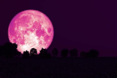 Vancouver weather: Full pink moon to dazzle skies this April - New West ...