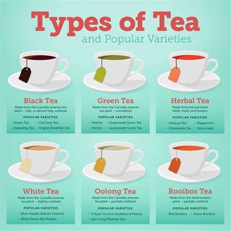 The 6 different types of tea explained – Artofit