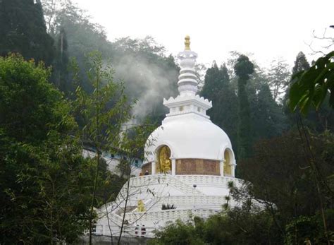 10 Reasons Why a Romantic Honeymoon in Darjeeling and Gangtok