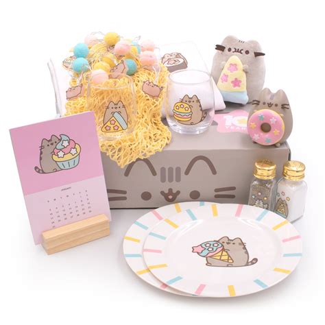 Past Boxes | Pusheen Box