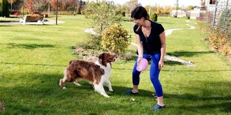 Playing Fetch with Your Dog | Preventive Vet Resources