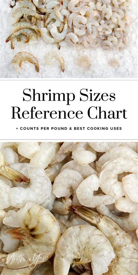 Shrimp Sizes: A Handy Guide for Cooking