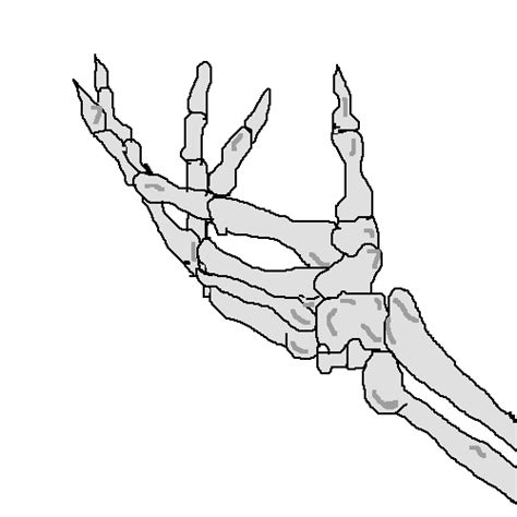 Skeleton Hand Holding Skull