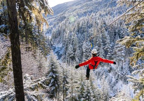 Whistler Zipline Experience: Ziptrek Eagle Tour | GetYourGuide