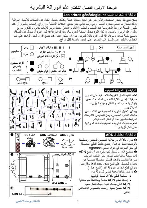 علم الوراثة البشرية - وثائق - AlloSchool