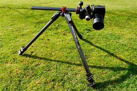 7 Best Tripods for Wildlife Photography to Buy in 2025