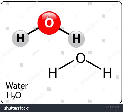 Water Molecule Structure - Royalty Free Stock Vector 1362451532 ...