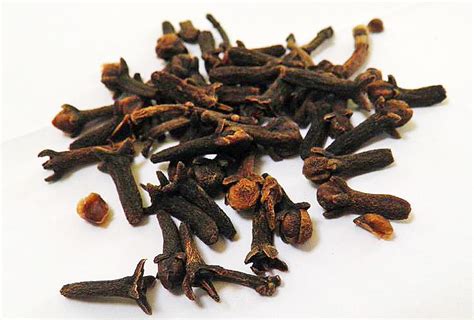 Recipe: Homemade Extract of Clove | Tinctures recipes, Homemade, Natural healing remedies