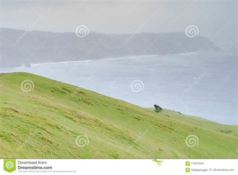 Rolling Hills of Batanes, Philippines Stock Image - Image of natural ...