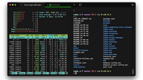 Install this Terminal Emulator made with TypeScript