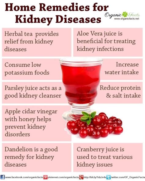 SALEEM INDIA BLOG: Home Remedies for Kidney Disease