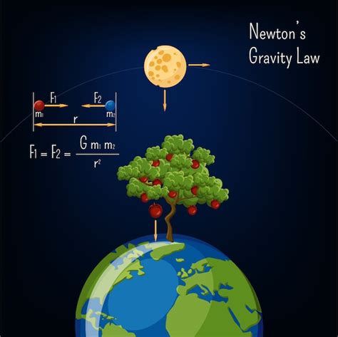 Premium Vector | Newton's gravity law