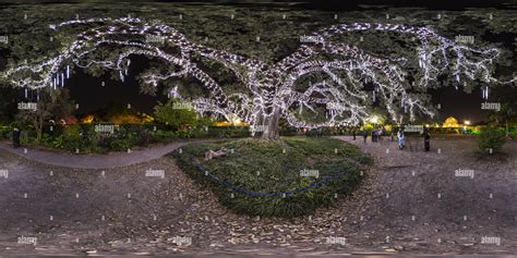 New orleans christmas lights hi-res stock photography and images - Alamy