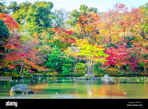 Autumn forest with river Stock Photo - Alamy