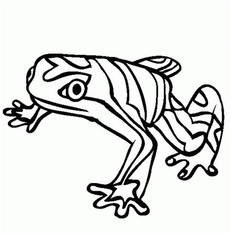 Free Rainforest Animals Coloring Pages Free, Download Free Rainforest ...