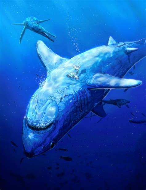 A dead Cretoxyrhina has become a Cretaceous seafood buffet. These sharks could reach a length of ...