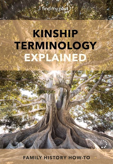 Kinship Terminology Explained (or How to Know What to Call Distant ...