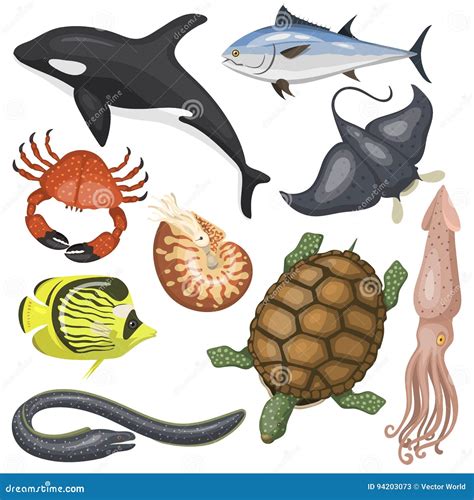 Marine, Sea, Aquatic Animals Of Ocean And Marine Species, Sea Creatures Cartoon Vector ...