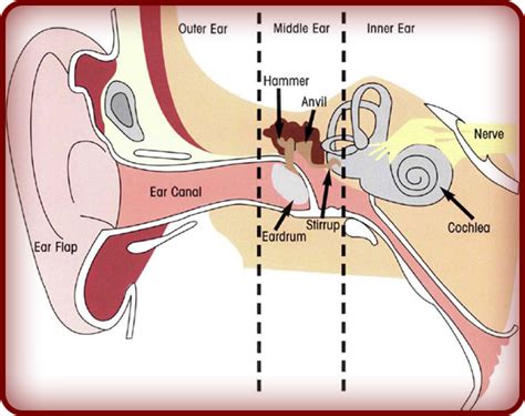 Sound Waves - PowerKnowledge Physical Science