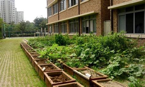 Learn About School Gardens - Tips For Making A School Garden For Children