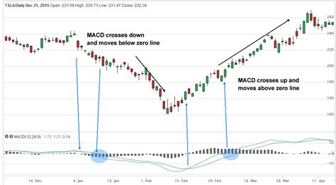 How The MACD Stock Screener Discovers Trending Stocks