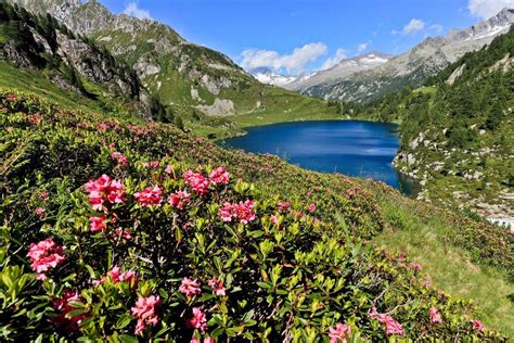 Parco Naturale Adamello - Brenta