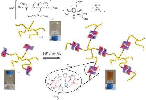 Transforming polyethylenimine into a pH-switchable hydrogel by additional supramolecular ...