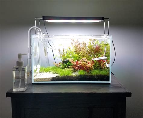 UNS 5 Gallon Shrimp Tank : r/PlantedTank