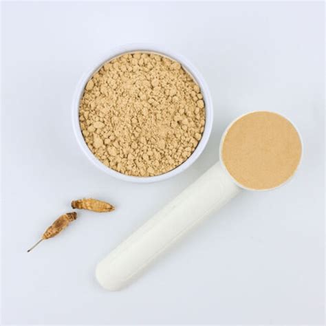 Cricket Powder (Acheta Domesticus) - JR Unique Foods Ltd