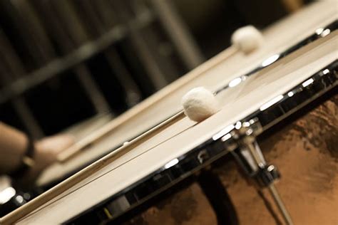 110+ Timpani Drum Sticks Stock Photos, Pictures & Royalty-Free Images - iStock