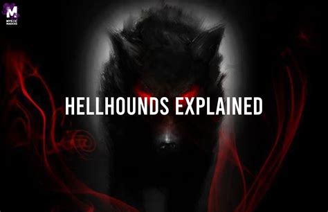 Beginner’s Guide: Hellhounds — Mysticmagicks