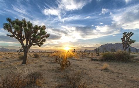 National Conservation Lands of the California Desert | Bureau of Land ...