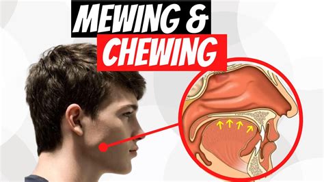 Cómo Hacer MEWING Y CHEWING - YouTube