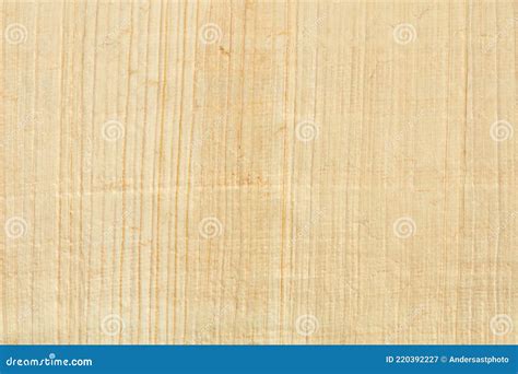 Papyrus Paper Texture Background Stock Image - Image of abstract, fiber: 220392227