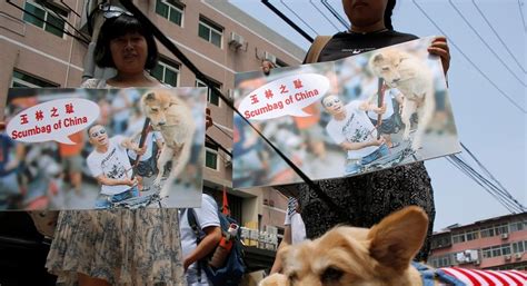 China's dog meat festival opened this week to protests...and profits ...